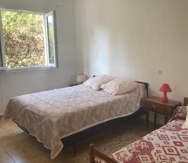 San-Giuliano Apartment | Appartement T2 Alistro San Giuliano Corse