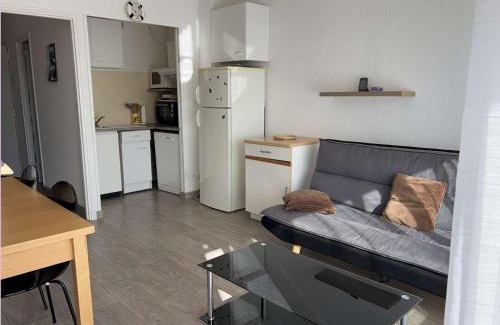 Le Grau-Du-Roi Apartment | Appartement T2 cabine climatisé avec garage et terrasse au Grau-du-Roi, 6 couchages, proche plage - FR-1-250-267