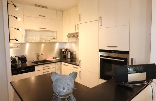 Annecy-le-Vieux Apartment | Appartement T2 de 60m² à Annecy-le-Vieux, grande terrasse aménagée, proche lac et commerces - FR-1-432-74