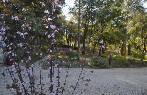 Montauroux House | Appartement T2