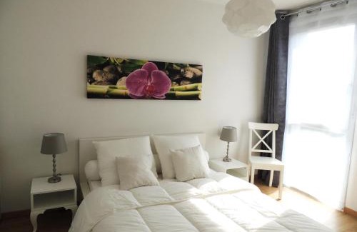 Lafourguette Apartment | APPARTEMENT T2 MEUBLE AVEC BALCON TOULOUSE