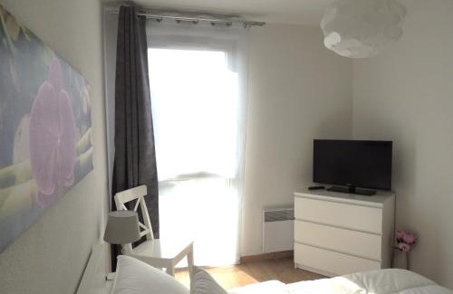 Lafourguette Apartment | APPARTEMENT T2 MEUBLE AVEC BALCON TOULOUSE