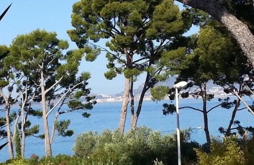 La Madrague Apartment | Appartement vue mer à La Madrague