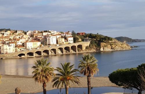 Banyuls-sur-Mer Apartment | Appartement VUE MER TERRASSE CLIM WIFI