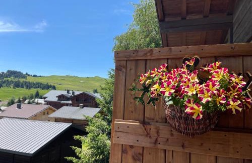 Les Saisies Apartment | APPARTEMENT VUE SUR LES PISTES Aux SAISIES 4