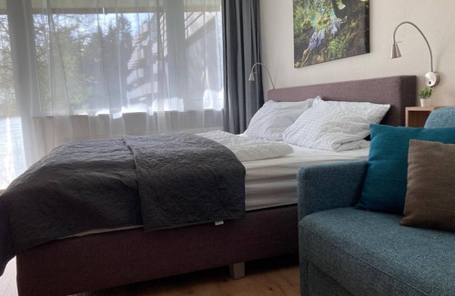 Sankt Englmar Apartment | Appartement Waldkauz