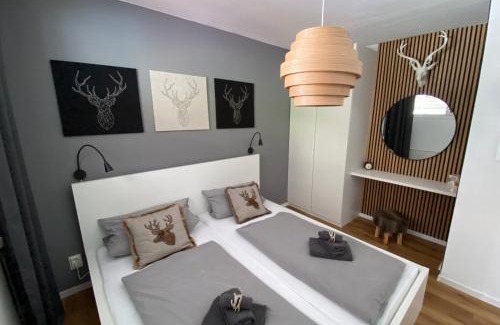 Schonach im Schwarzwald Apartment | Appartement zum Hirsch