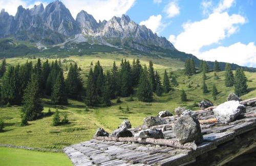 Muehlbach Am Hochkoenig Apartment | Appartementhaus Hochkönig 1 - Alpenrose