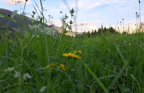 Wildschoenau Apartment | Appartements Alpenland - Ferienwohnungen