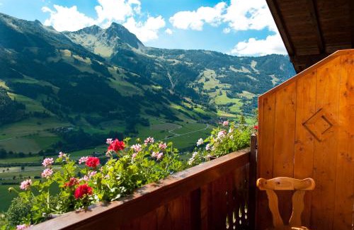 Dorfgastein Apartment | Appartements Hartlbauer