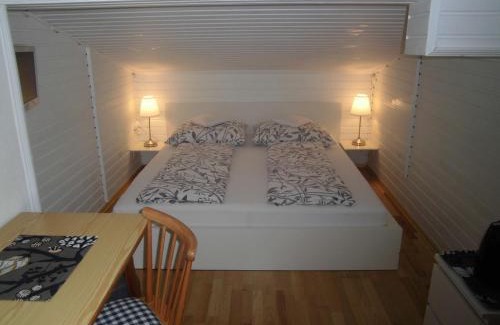 Viehhofen House | Appartements Haus Schmalzl