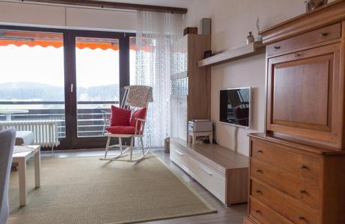 Schonach im Schwarzwald Apartment | Appartmentvermietung Terrassenpark Schonach