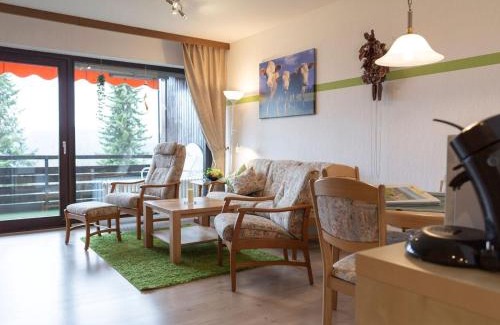 Schonach im Schwarzwald Apartment | Appartmentvermietung Terrassenpark Schonach