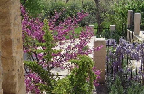 Rasteau Apartment | Appealing apartment in Sankt Aldegund