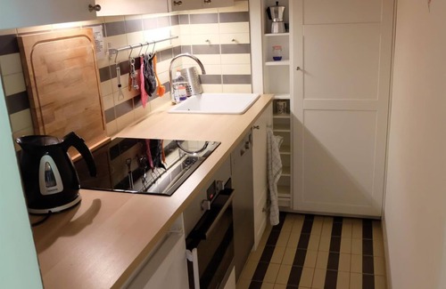 Werfenweng Apartment | Appel, Apartment - App. "Appel"/1 bedroom/living room/shower, WC