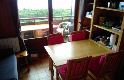 Thollon-les-Memises Apartment | Appt 4-6 Pers. Vue lac face télécabine avec garage