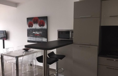 Grand Valinco Apartment | Appt 4 people feet in the water terrace with sea view at 180 degrees