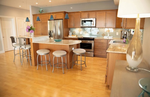 Geneva Condo | April Morning, 3/3, Spectacular Lakefront Views from a Luxury Spacious Condo !