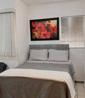 Asa Sul Apartment | Apt 905 sul próximo Hospital Sarah Kubichek e Esplanada Ministérios