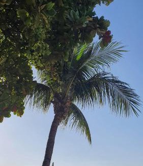 Mucuripe Apartment | APTO LUXO EM HOTEL - BEIRA MAR FORTALEZA