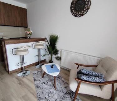 Jagodina Apartment | Aqua Apartments 2