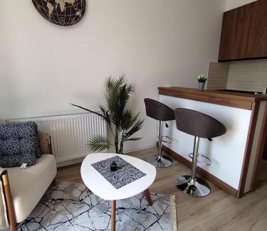 Jagodina Apartment | Aqua Apartments 2