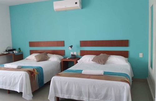 Tohoku House | Aqua Vista - Pet Friendly - Junior Suite - Pasos A Playa - Steps To The Beach