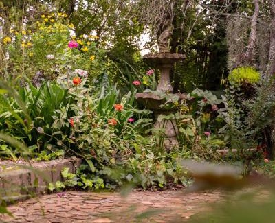 Swellendam Bed & Breakfast | Aquaelberg Place