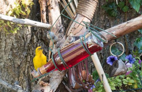 Swellendam Bed & Breakfast | Aquaelberg Place