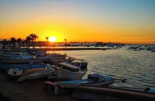 Dahar Apartment | Aquarium hotel Relaxing Cozy room in fabulous Hurghada with AC, WiFi