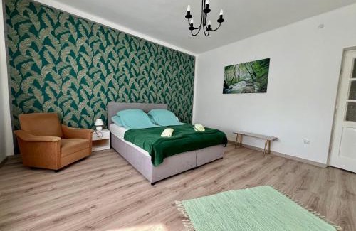 Abadszalok Apartment | AranyLak vendégház