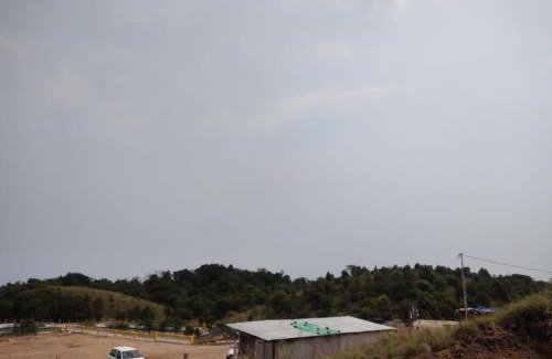 Sohra House | Arara in