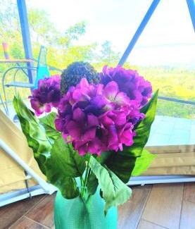 San Vito Other | Ararat Eco Farm