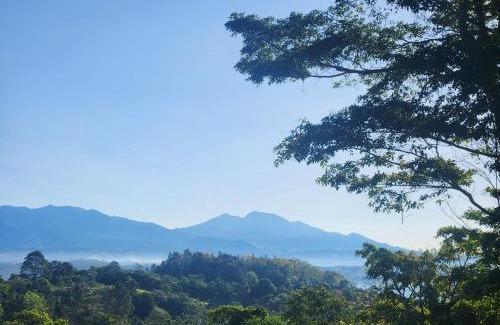 San Vito Other | Ararat Eco Farm