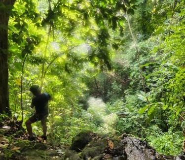 San Vito Other | Ararat Eco Farm