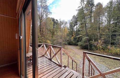 Curacautin House | Araucaria Lodge