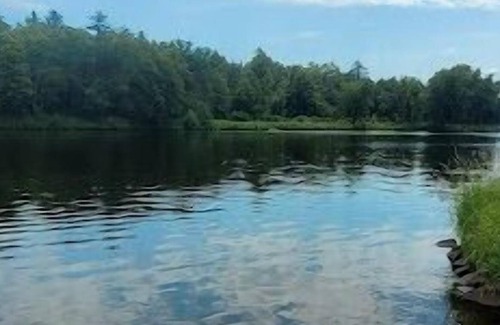 Merrillan Cabin | Arbutus Lake Front Cabin, Neillsville! ATV trails and dock for your boat on site