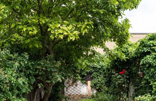 Broad Green House | Architect-designed 2-bed home