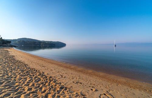 Skiathos Hotel | Arco Beach Hotel