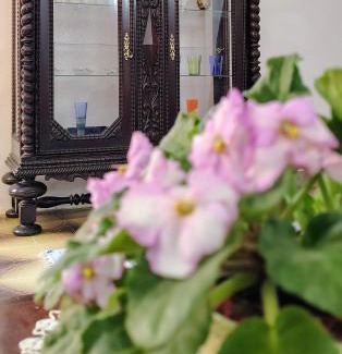 Teresopolis Apartment | Arcos das Montanhas