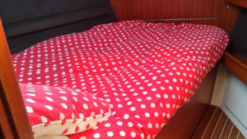 Rochefort Boat Rental | Argol