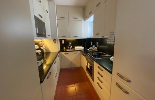 Rafina-Pikermi Apartment | Argyro suite Rafina