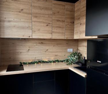 Soko Banja Apartment | Aria Apartman Sokobanja