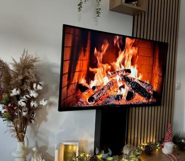 Soko Banja Apartment | Aria Apartman Sokobanja