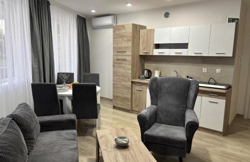 Veliko Gradiste Apartment | Aria