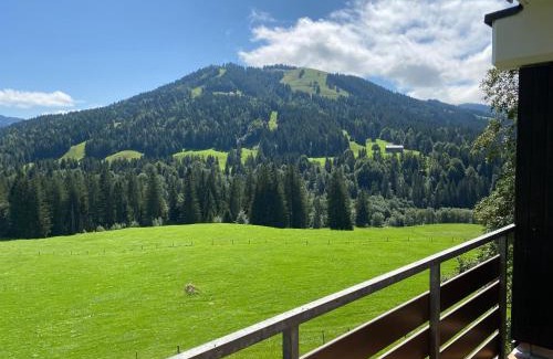 Balderschwang Apartment | Ariana