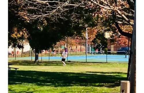 Nauck Apartment | Arlington Gem-Commuter Delight Quite Neighborhood