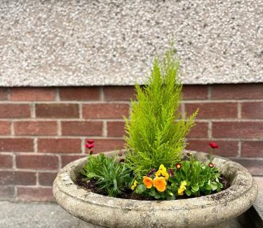 Enniskillen House | Arlo Townhouse Enniskillen