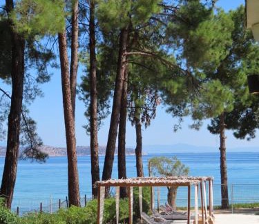 Thasos Town Hotel | Aroma Beach Bungalows