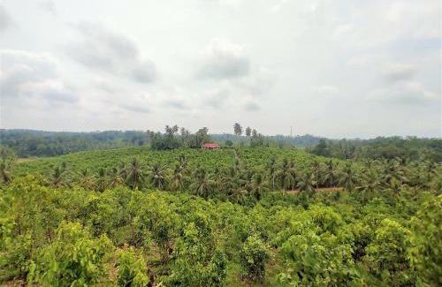 Baddegama Cabin | Aroma Woods